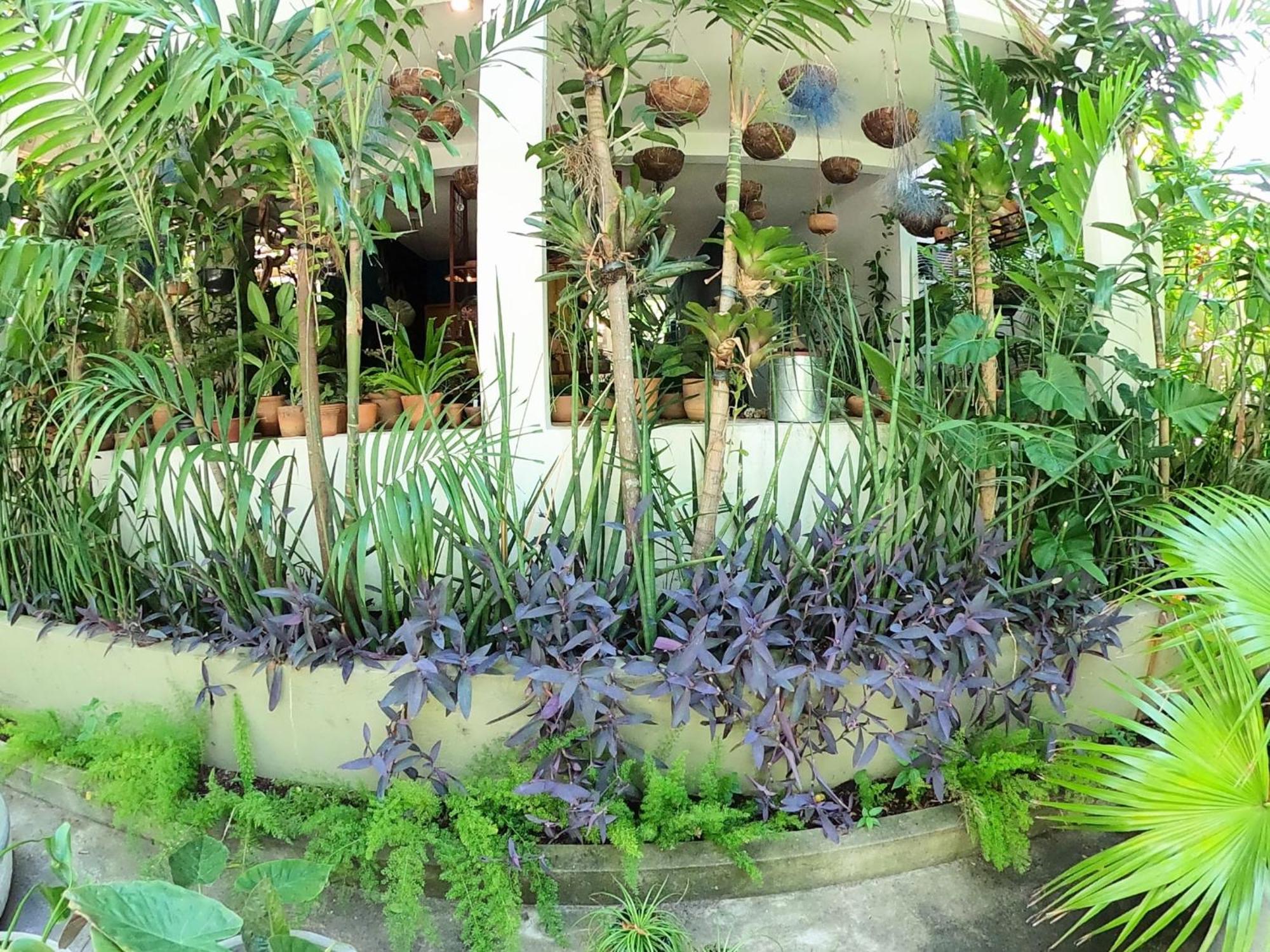 Апартаменты Residencial Casa Flor Atelier Botanico, Ponta Negra Натал Экстерьер фото
