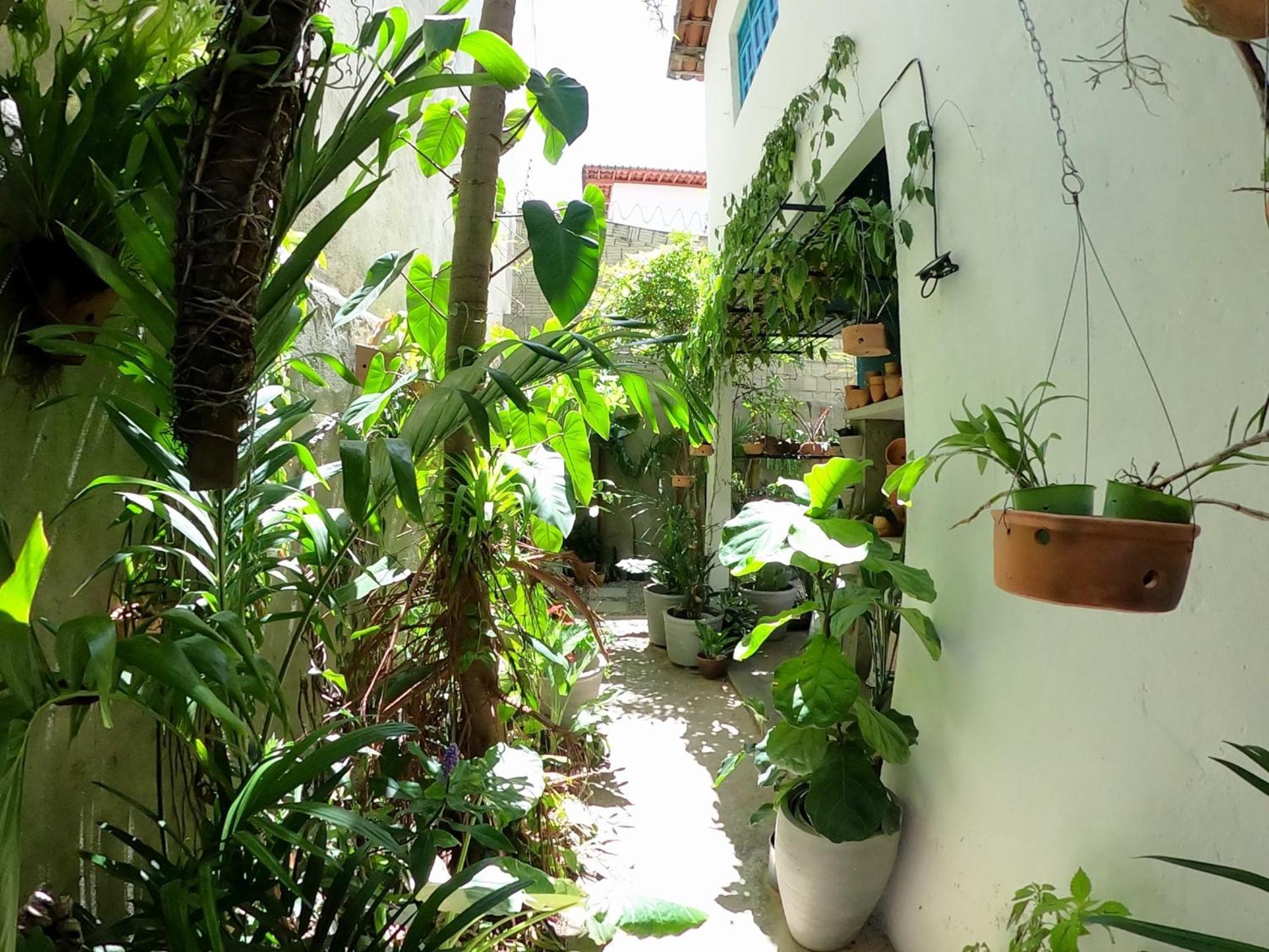 Апартаменты Residencial Casa Flor Atelier Botanico, Ponta Negra Натал Экстерьер фото