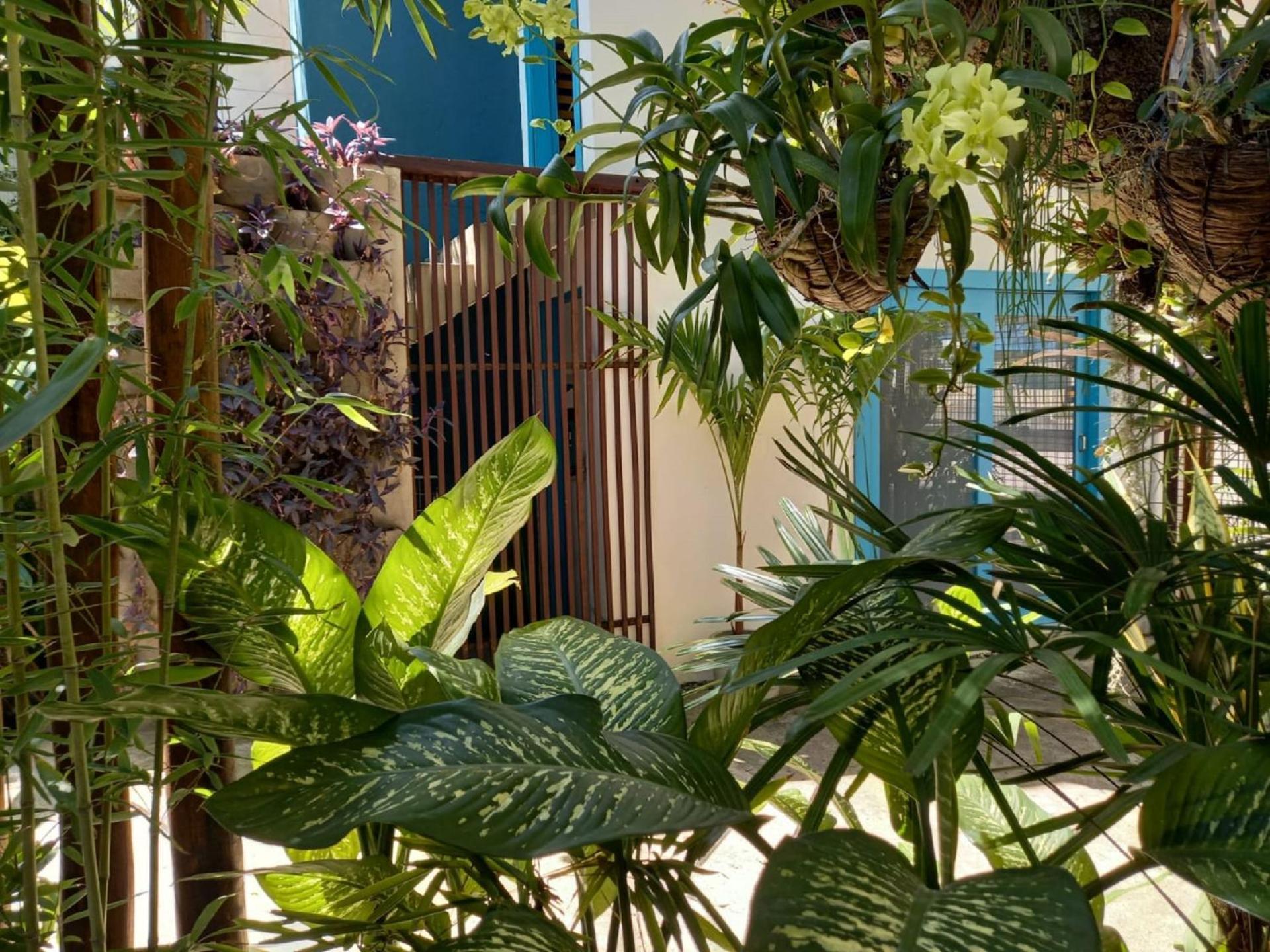 Апартаменты Residencial Casa Flor Atelier Botanico, Ponta Negra Натал Экстерьер фото